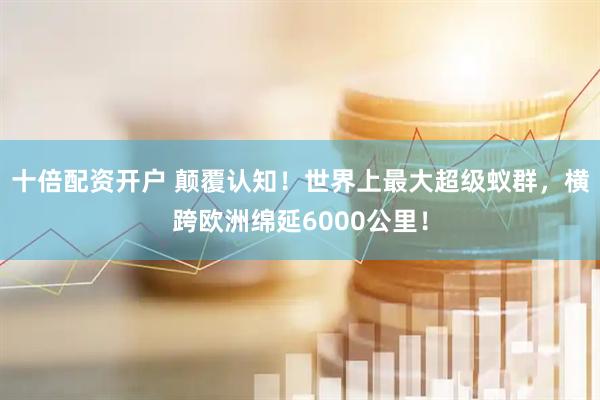 十倍配资开户 颠覆认知！世界上最大超级蚁群，横跨欧洲绵延6000公里！