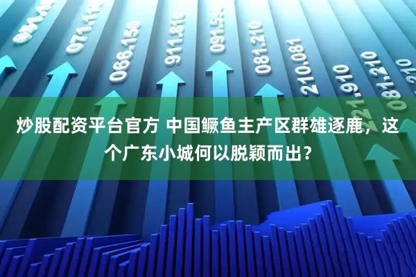 炒股配资平台官方 中国鳜鱼主产区群雄逐鹿，这个广东小城何以脱颖而出？