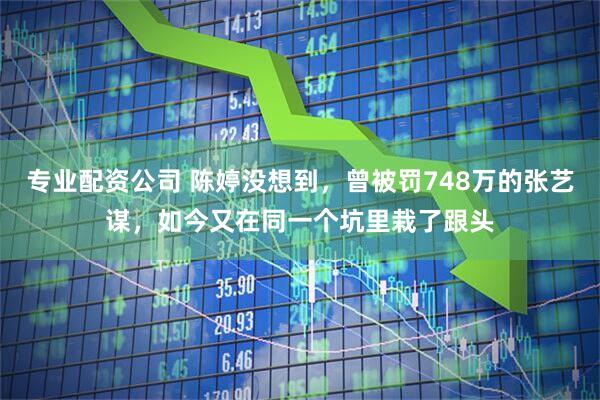 专业配资公司 陈婷没想到，曾被罚748万的张艺谋，如今又在同一个坑里栽了跟头