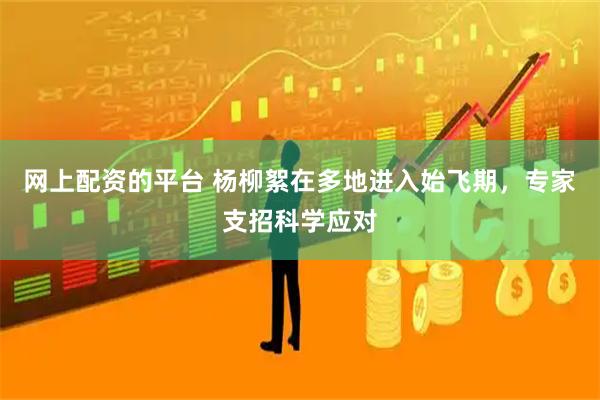 网上配资的平台 杨柳絮在多地进入始飞期，专家支招科学应对